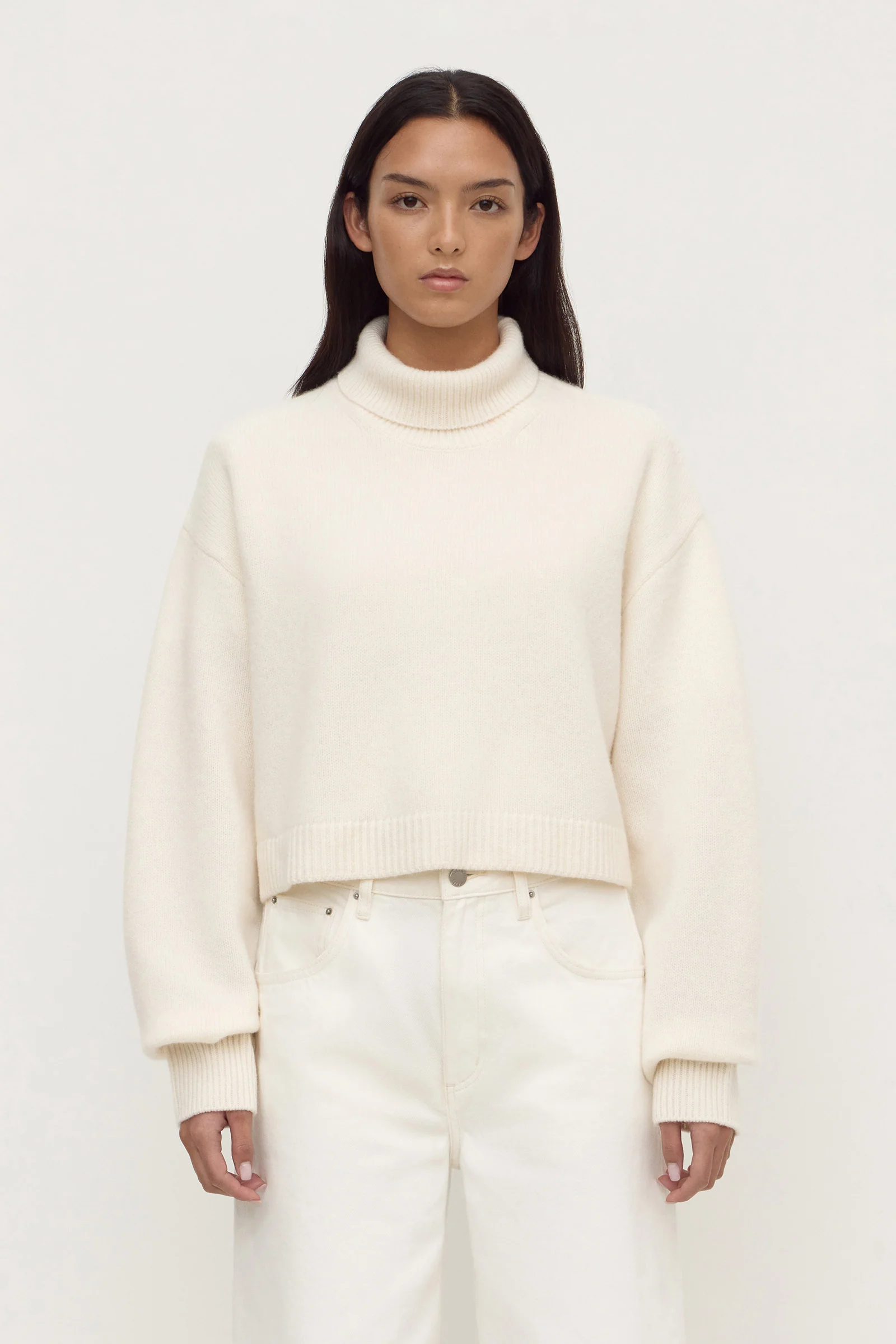 Paris Wool Cashmere Knit Turtleneck